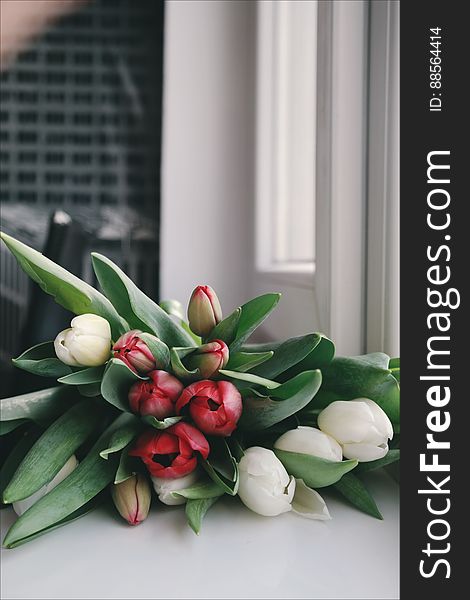 A bouquet of red and white tulips on a window sill. A bouquet of red and white tulips on a window sill.