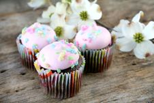 Cupcakes Stock Images Cupcakes Stock Images