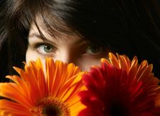 Brunette Woman S Portrait Royalty Free Stock Image Brunette Woman S Portrait Royalty Free Stock Image