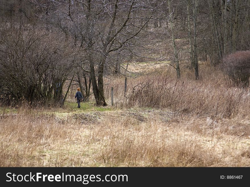 Young Boy In Wooded Field