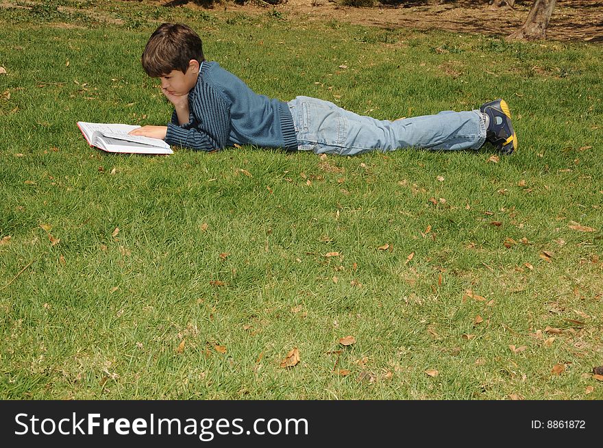 The boy reading the book in park