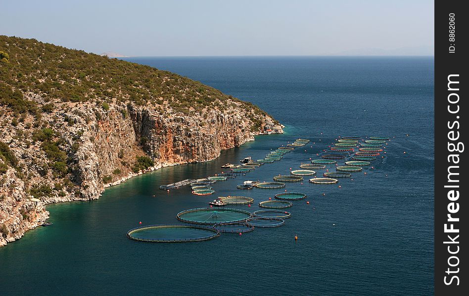 Cultivation of a fish. Peloponnese, Greece.