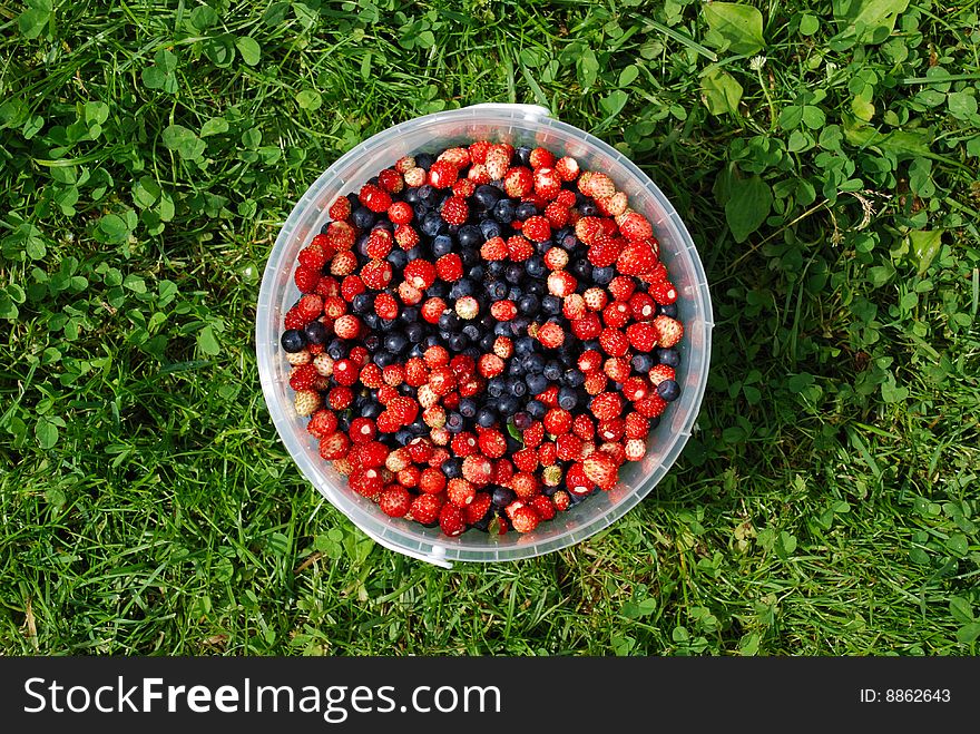 Berries