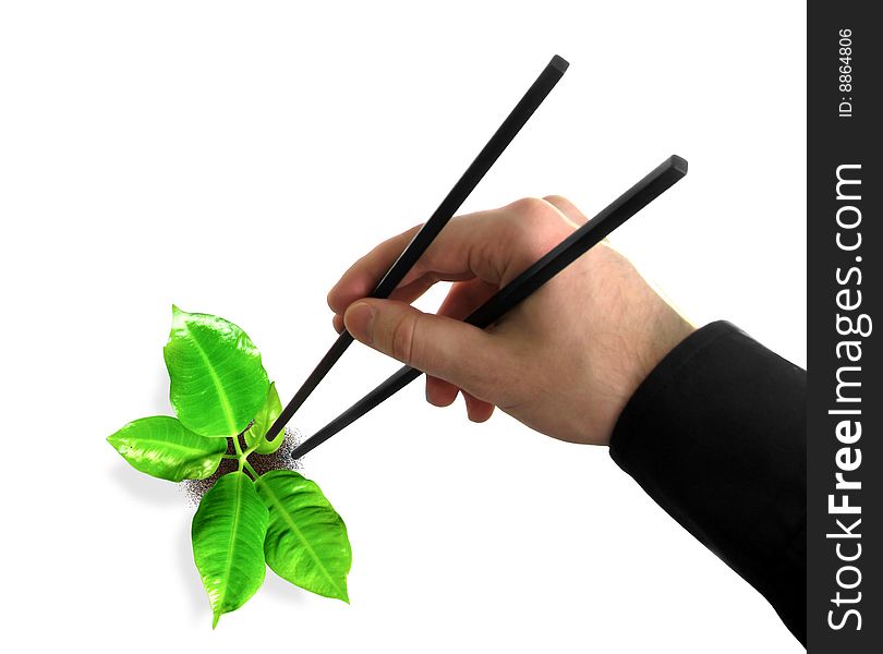 Chopsticks in a hand and plant. Chopsticks in a hand and plant