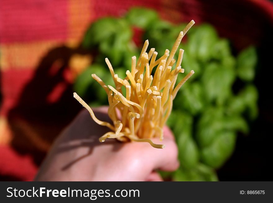 Handmade spaghetti, typical italian pasta, with basil and tomato. Handmade spaghetti, typical italian pasta, with basil and tomato