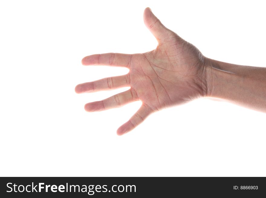 Human hand finger 5 isolated on white background