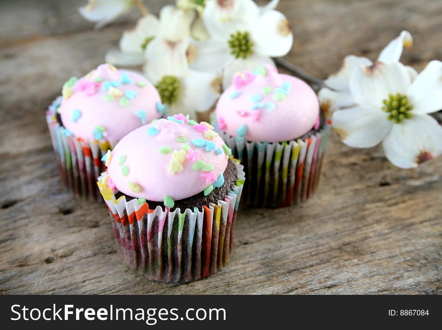 Pastel colored icing on chocolate cupcakes with dogwood blooms in the background.