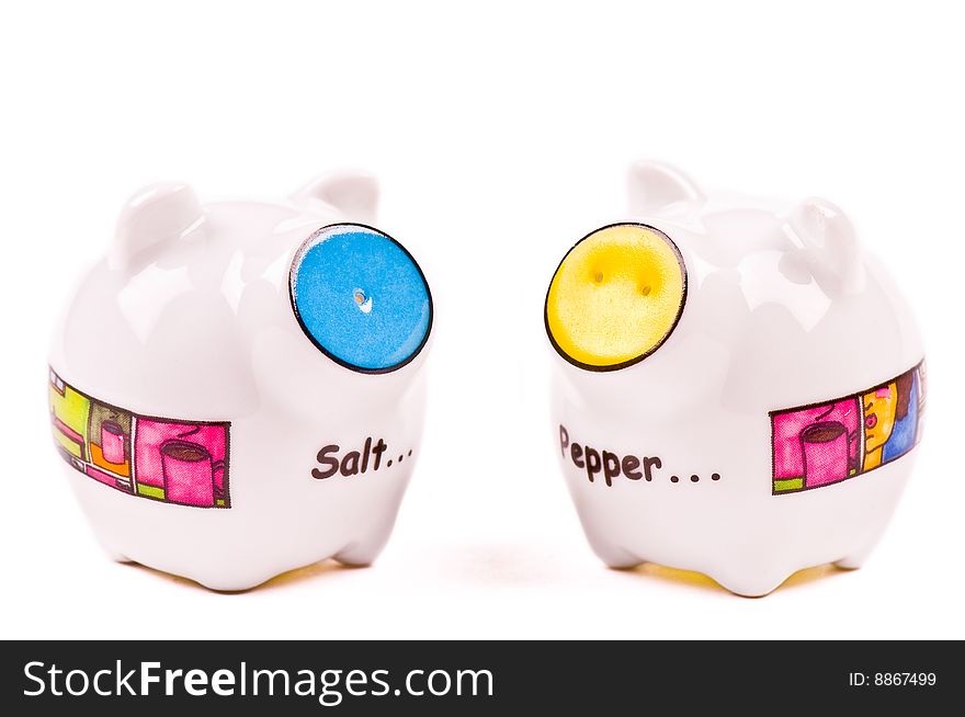 Salt & Pepper Shaker on the white background