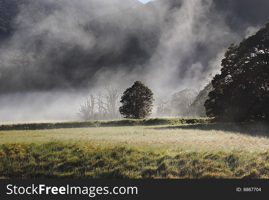 Morning mist on the grassland, New Zealand. Morning mist on the grassland, New Zealand