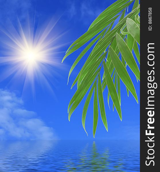 Green palm leaves on the sky background with bright sun and water