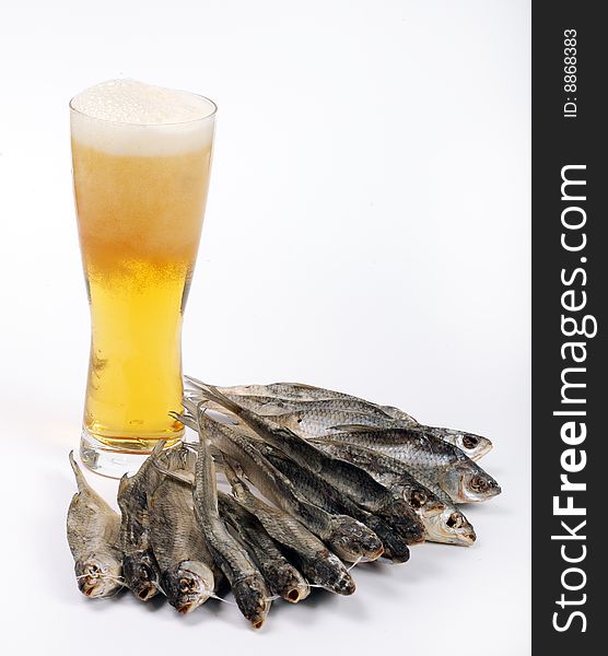 Fish  isolated white snack beer