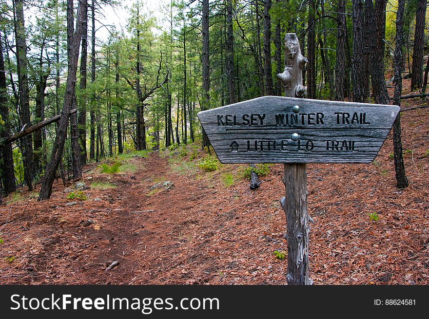 Kelsey Trailhead is right at the boundary of the Sycamore Canyon Wilderness. Kelsey and Little L.O. Trails are most easily accessed from this trailhead. Photograph by Deborah Lee Soltesz. Credit USDA Forest Service, Coconino National Forest. For more information about this trail, see the Kelsey Trail No. 3 trail description on the Coconino National Forest website.