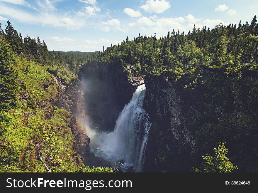 Waterfall In A Forest