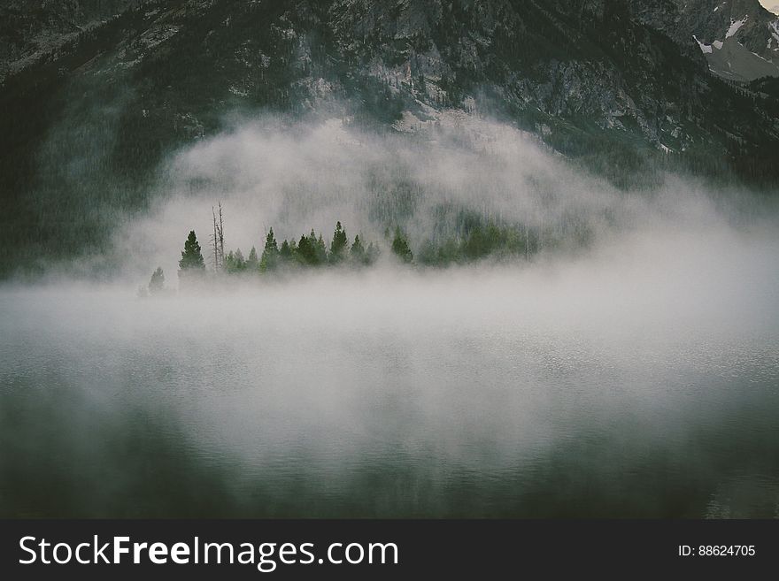 Fog Over Water By Mountain Forest