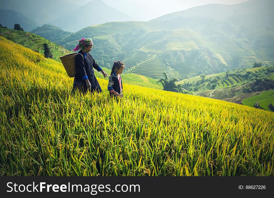 Mother with basket on back walking with daughter in rice paddy field on hillside, Cambodia. Mother with basket on back walking with daughter in rice paddy field on hillside, Cambodia.