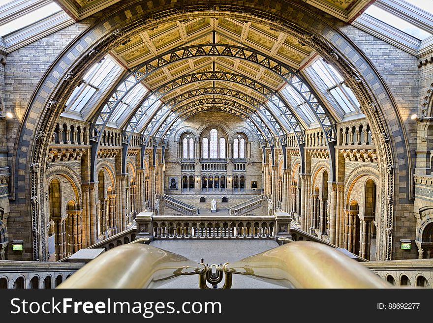 Here is an hdr photograph taken from the Natural History Museum. Located in London, England, UK. Photography is allowed in the NHM, but the use of tripods isn&#x27;t allowed. Knowing this in advance I decided to bring a photographic bean bag with me. I strapped the camera on to the photographic bean bag, which was then placed on the railings. NO tripod was used when taking the photographs for the HDR image.