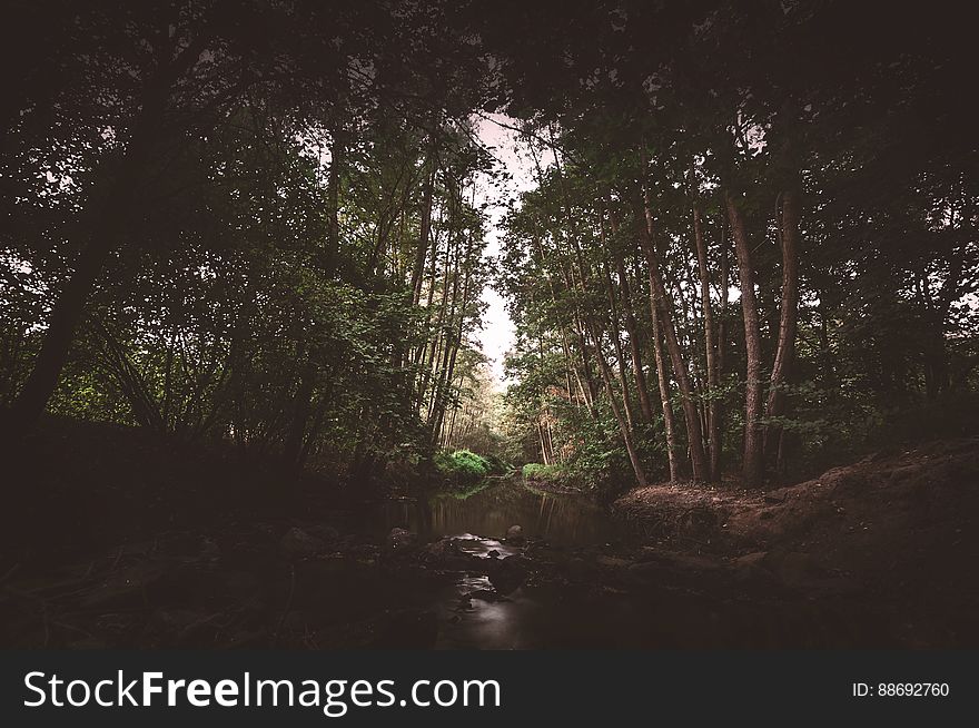 Germany Nature Reserve &#x22;Gut Bustedt&#x22;. Germany Nature Reserve &#x22;Gut Bustedt&#x22;