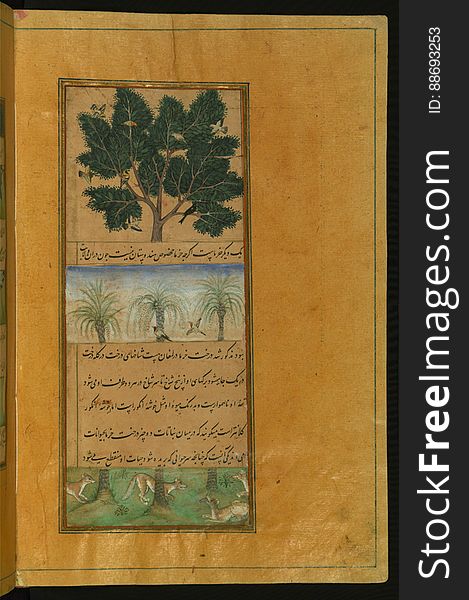 Written originally in Chaghatay Turkish and later translated into Persian, BÄburnÄmah is the story of a Timurid ruler of Fergana &#x28;Central Asia&#x29;, áº’ahÄ«r al-DÄ«n Muá¸¥ammad BÄbur &#x28;866 AH /1483 CE - 937 AH / 1530 CE&#x29;, who conquered northern India and established the Mughal Empire. The present codex, being a fragment of a dispersed copy, was executed most probably in the late 10th AH /16th CE century. It contains 30 mostly full-page miniatures in fine Mughal style by at least two different artists. Another major fragment of this work &#x28;57 folios&#x29; is in the State Museum of Eastern Cultures, Moscow. Shown here are the date trees of Hindustan See this manuscript page by page at the Walters Art Museum website: art.thewalters.org/viewwoa.aspx?id=1759. Written originally in Chaghatay Turkish and later translated into Persian, BÄburnÄmah is the story of a Timurid ruler of Fergana &#x28;Central Asia&#x29;, áº’ahÄ«r al-DÄ«n Muá¸¥ammad BÄbur &#x28;866 AH /1483 CE - 937 AH / 1530 CE&#x29;, who conquered northern India and established the Mughal Empire. The present codex, being a fragment of a dispersed copy, was executed most probably in the late 10th AH /16th CE century. It contains 30 mostly full-page miniatures in fine Mughal style by at least two different artists. Another major fragment of this work &#x28;57 folios&#x29; is in the State Museum of Eastern Cultures, Moscow. Shown here are the date trees of Hindustan See this manuscript page by page at the Walters Art Museum website: art.thewalters.org/viewwoa.aspx?id=1759