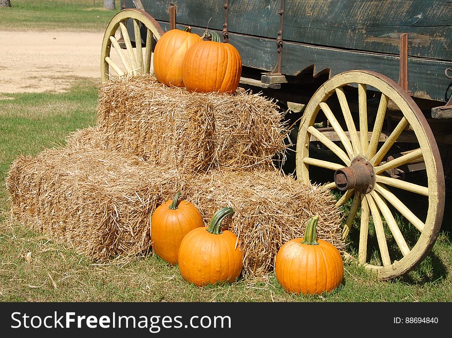 Orange Pumpkin On Brown Hay Near Gray Carriage