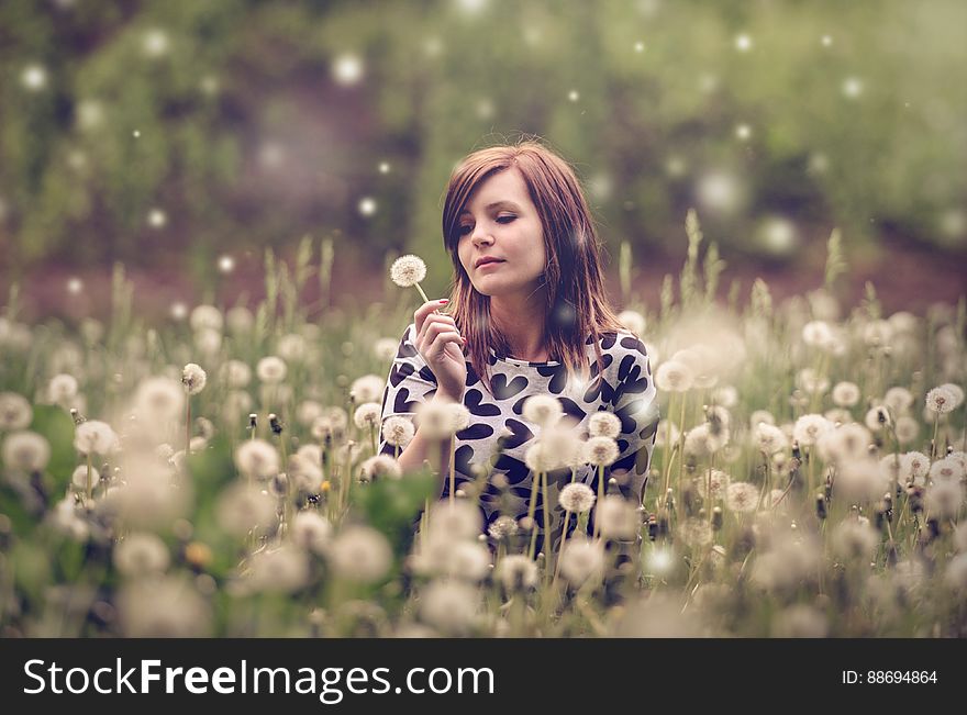 Woman Sitting in a Field of Flowers