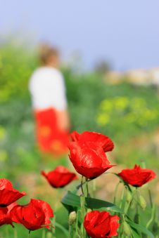 Poppy And Girl Royalty Free Stock Image Poppy And Girl Royalty Free Stock Image
