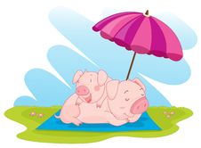Two Pigs Royalty Free Stock Photography Two Pigs Royalty Free Stock Photography