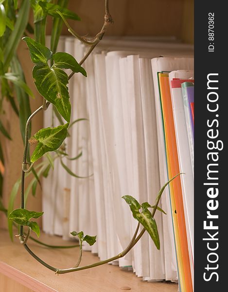 Folders on a book shelf.