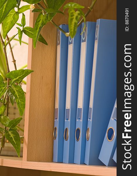 Blue plastic folders are stored(kept) on a wooden shelf in an indoor plant environment. Blue plastic folders are stored(kept) on a wooden shelf in an indoor plant environment.