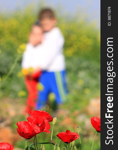 Kids on poppy field in summer time