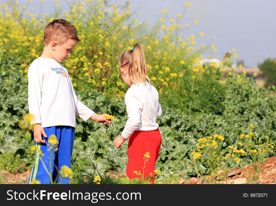Liitle boy giving flower to girl. Liitle boy giving flower to girl