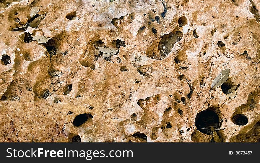 Close up of a holey yellow stone. Texture and background. Close up of a holey yellow stone. Texture and background.
