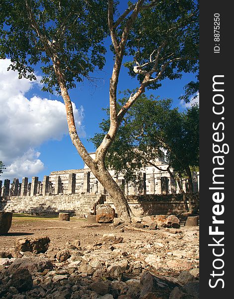 Temple of warriors, Chichen-Itza
maya culture. Temple of warriors, Chichen-Itza
maya culture