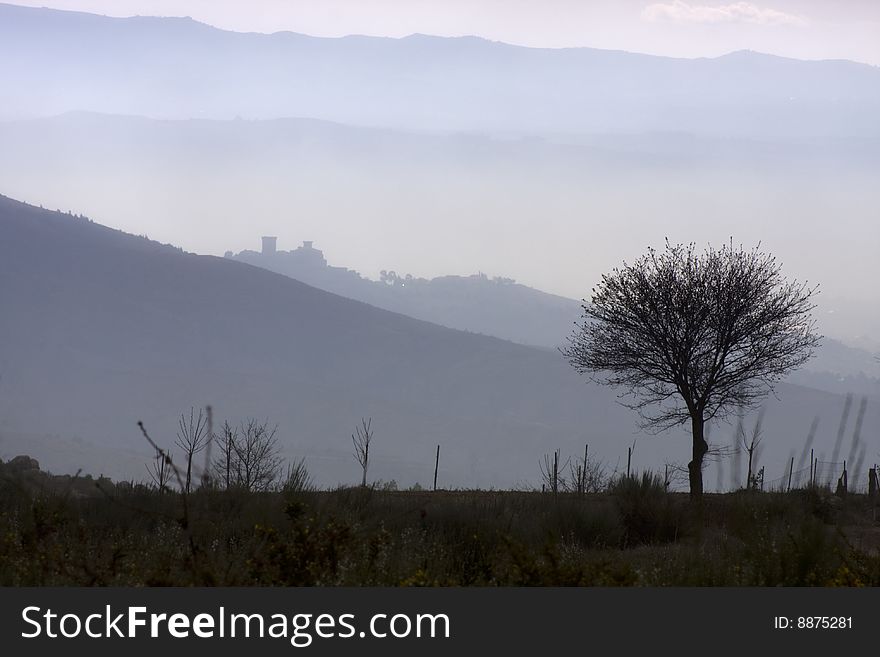 Lonely tree in foggy mountainous landscape. Lonely tree in foggy mountainous landscape