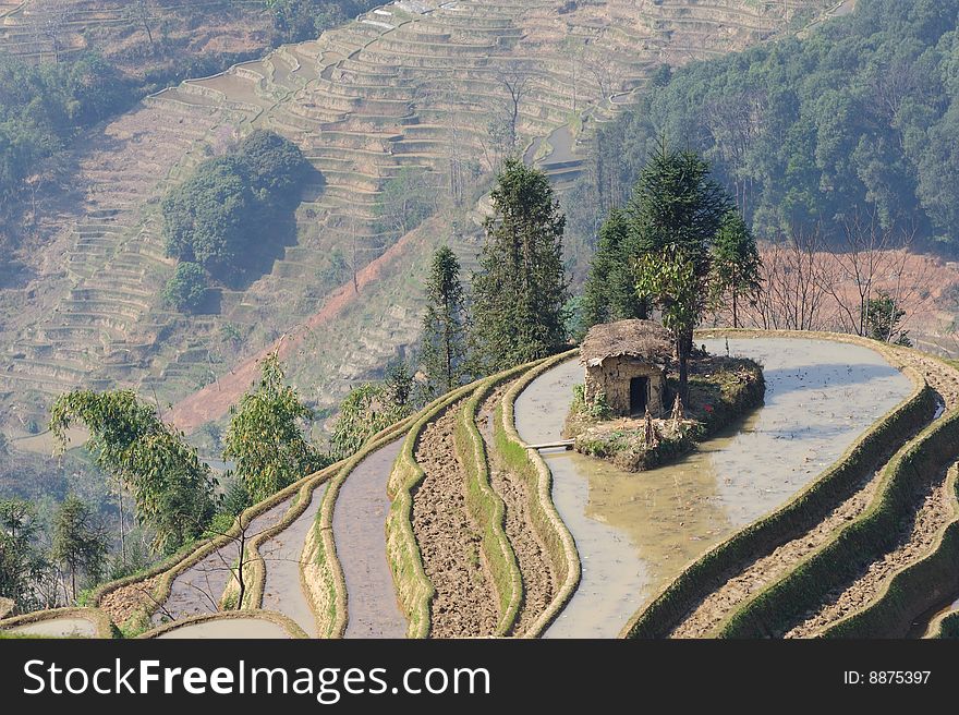 YuanYang Rice Terrace - The Sea Nail