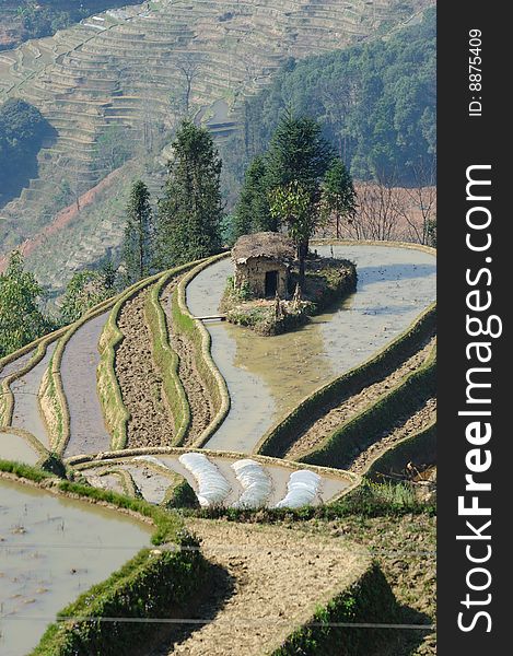 YuanYang Rice Terrace - The Sea Nail