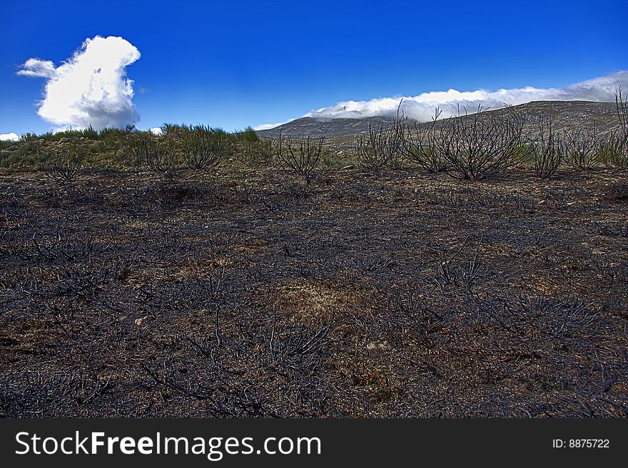 Mountain landscape burnt by the fire, nature. Mountain landscape burnt by the fire, nature