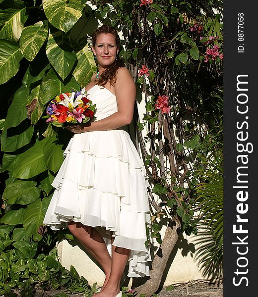Here is the lovely bride. the advantage of a tropical wedding is there is lots of vegetation. Here is the lovely bride. the advantage of a tropical wedding is there is lots of vegetation.