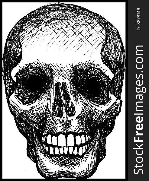 Pen drawing of skull anatomy. Pen drawing of skull anatomy