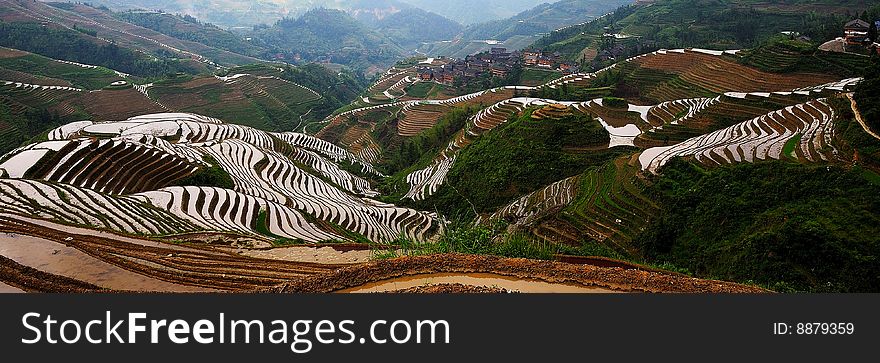 Guilin Terraced field