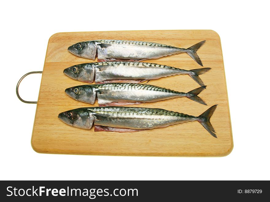 Four fresh mackerel fish on a wooden board. Four fresh mackerel fish on a wooden board