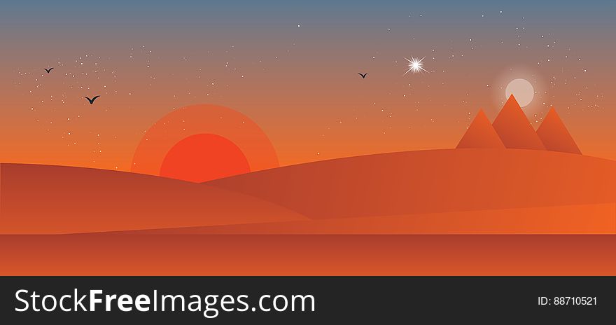 Landscape of the desert sunset. Vector illustration