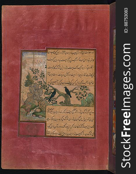 Birds Of Hindustan: Starlings, Called PandÄvalÄ« &x28;Memoirs Of Babur&x29;, Walters Art Museum Ms. W.596, Fol.31a