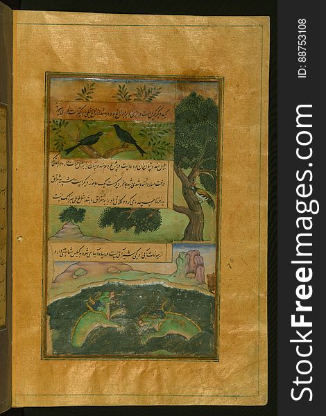 Birds Of Hindustan, Such As Crows, Magpies, And Cuckoos, That Live Beside Water, And Alligators &x28;Memoirs Of Babur&x29;, Walt