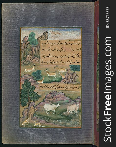 Animals Of Hindustan Small Deer And Cows Called GÄ«nÄ«, From Illuminated Manuscript Baburnama &x28;Memoirs Of Babur&x29;, Walter