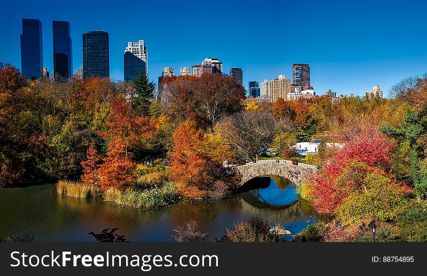 Central Park And Gapstow Bridge