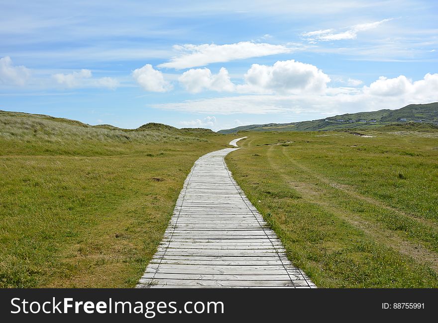 Boardwalk Across Green Fields