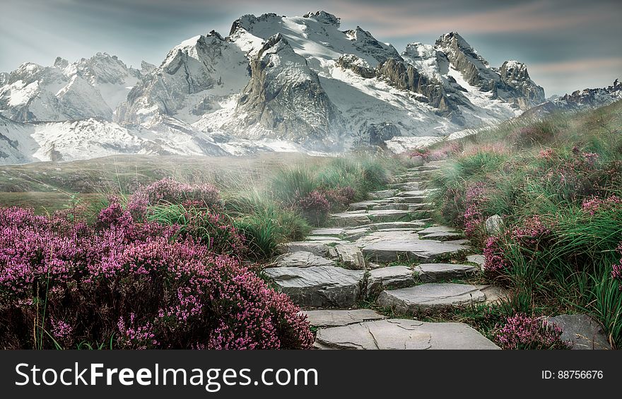A stone path crossing field with red flowers in a mountain valley. A stone path crossing field with red flowers in a mountain valley.
