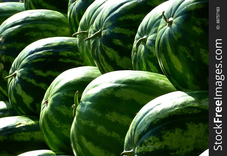 Green Piled Watermelon