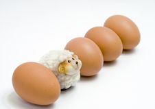Little Easter Lamb With Eggs Stock Photography