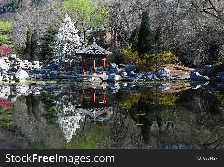 Pavilion, trees, Lake form a beautiful picture of spring. Pavilion, trees, Lake form a beautiful picture of spring